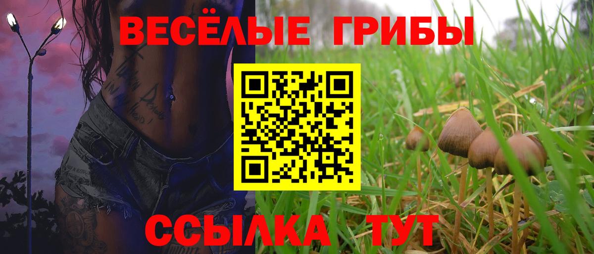 Галлюциногенные грибы Psilocybe Арсеньев